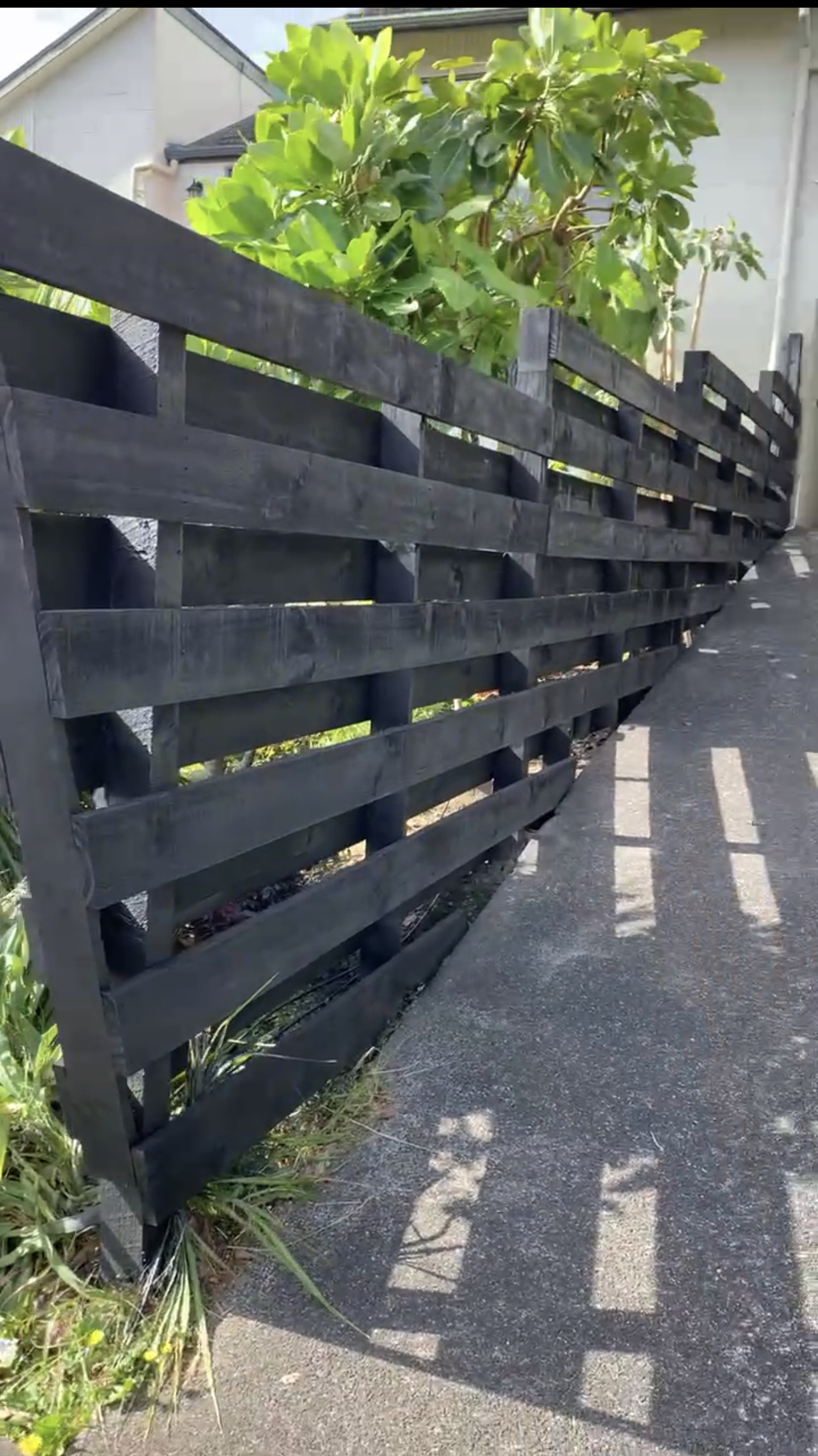 Fence painting and staining in Auckland
