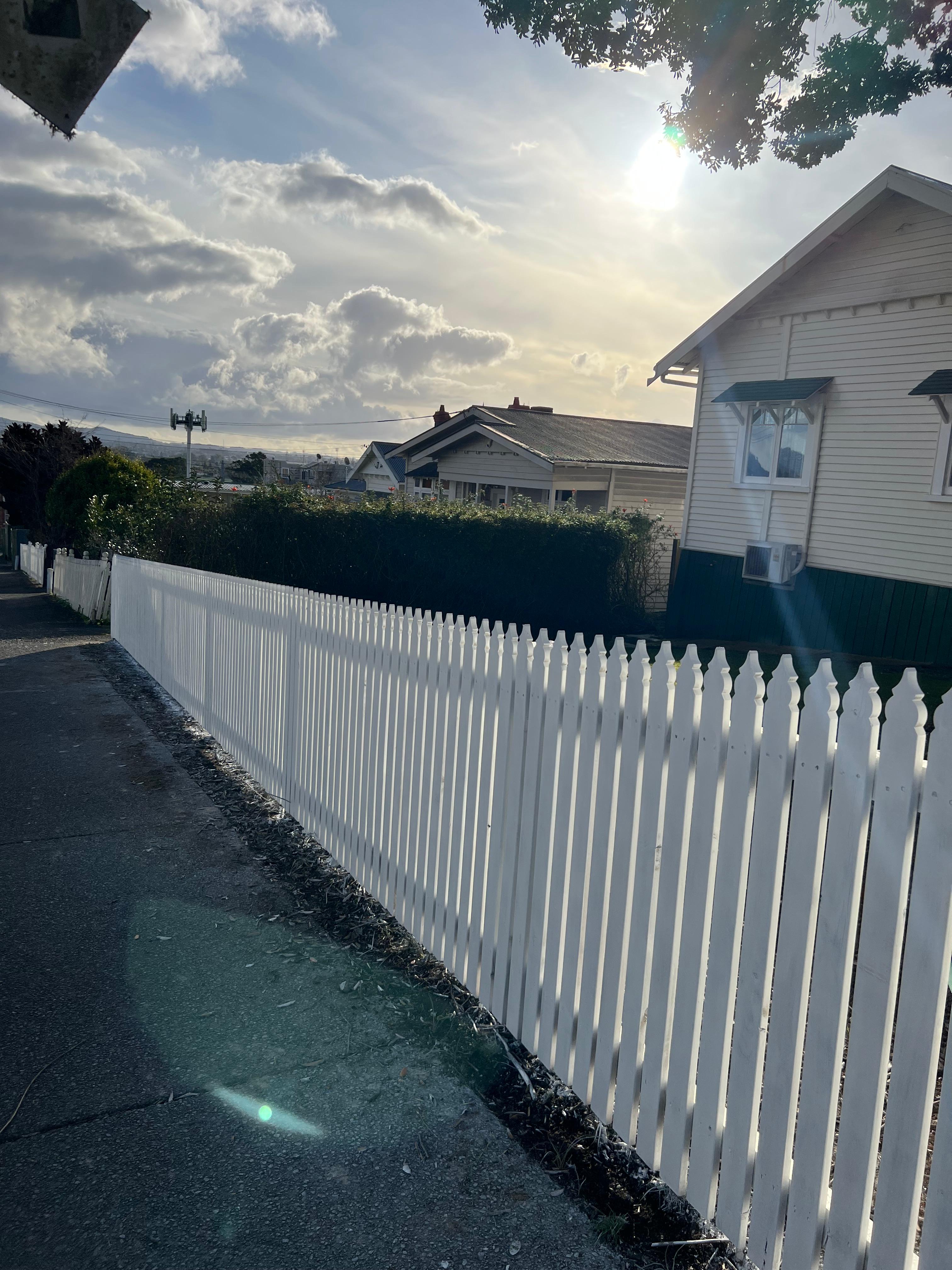 Gate and fence combo