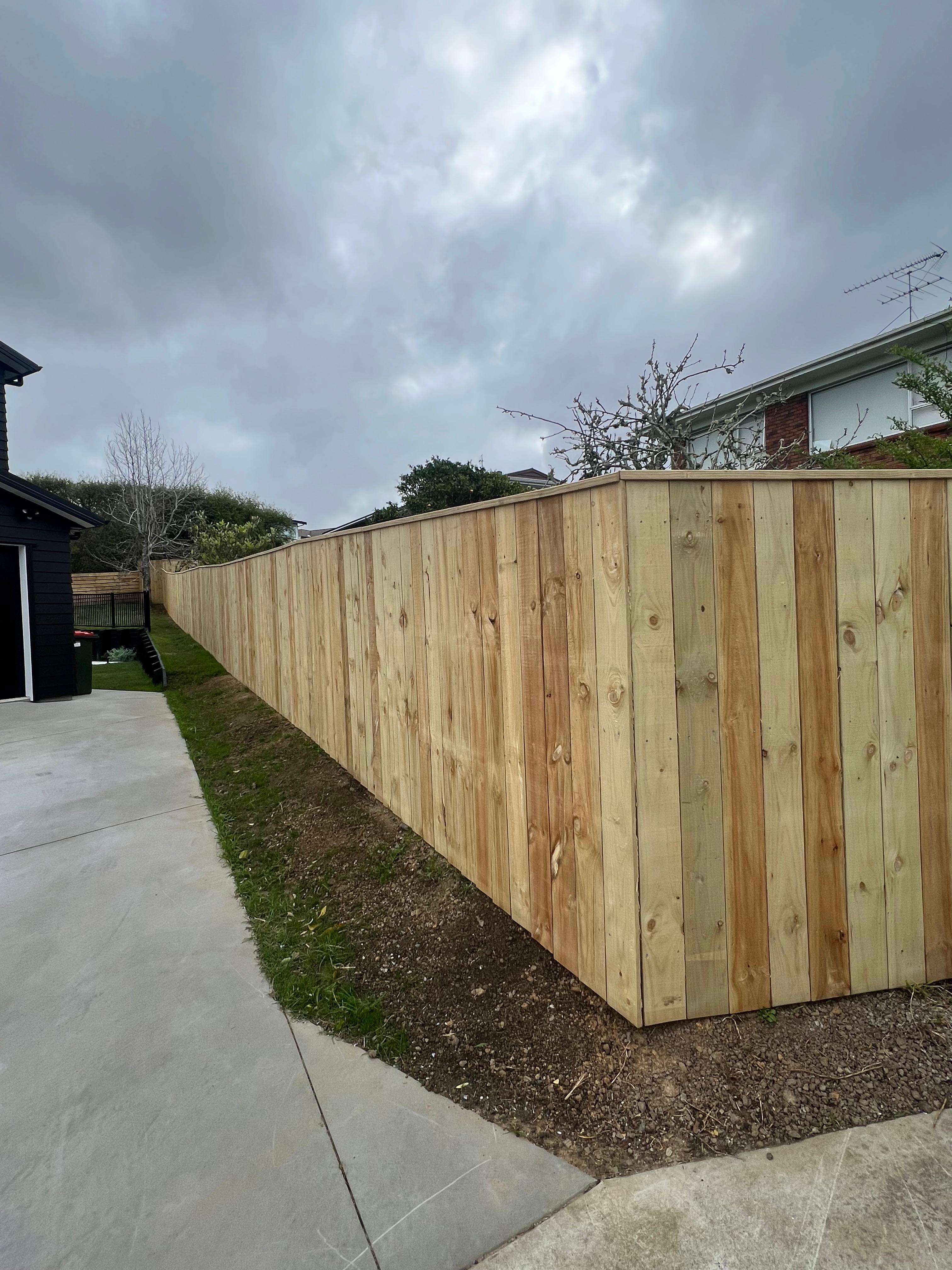 Backyard timber fence